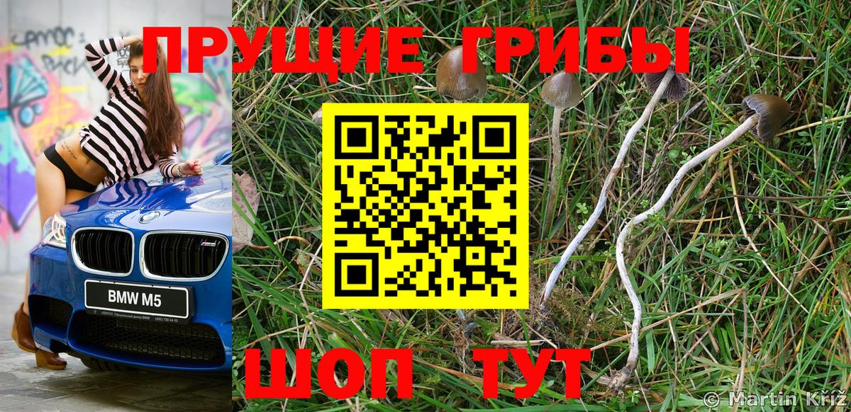 Псилоцибиновые грибы Psilocybine cubensis  Вход с VPN  Брянск 