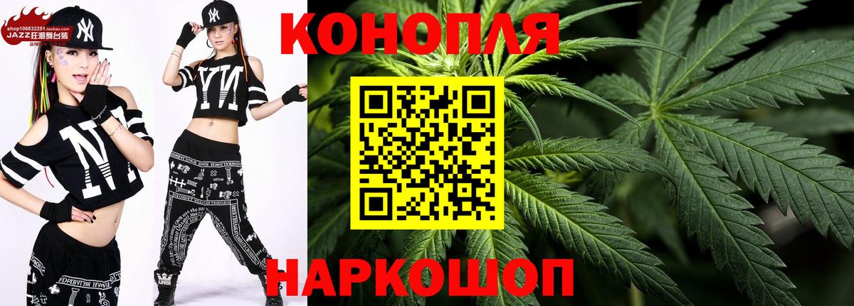Бошки Шишки план Брянск